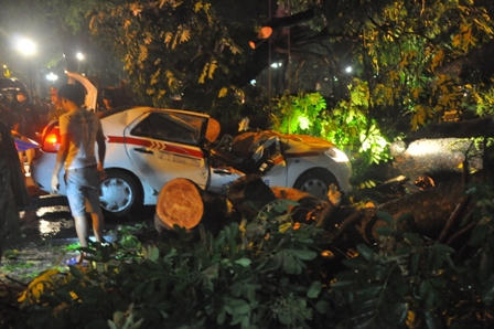 Hà Nội: Cây cổ thụ đổ đè bẹp taxi, tài xế tử vong tại chỗ